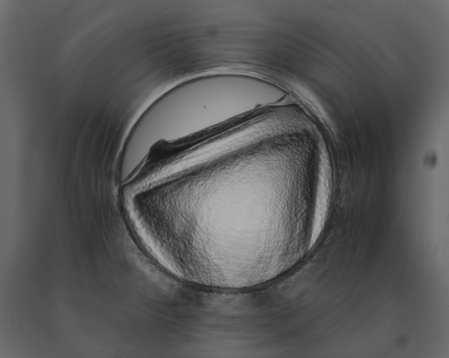 X0000091101284200708271309