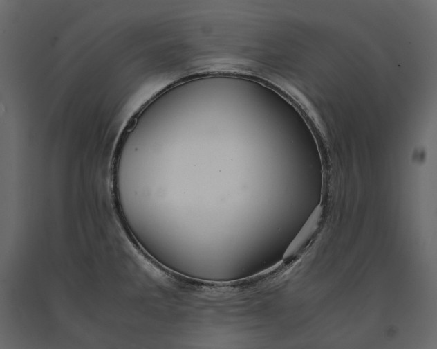 X0000091101285200708271309