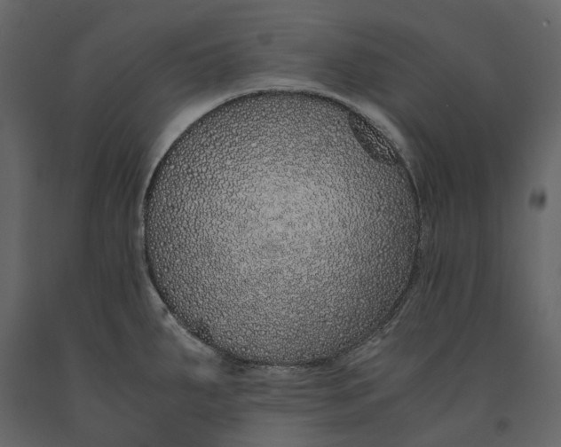 X0000091101287200708271309