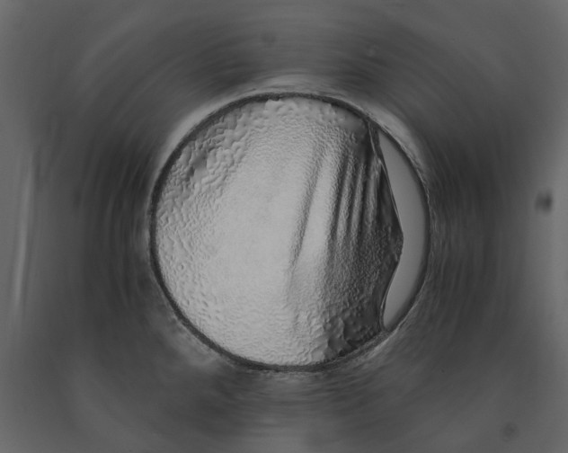 X0000091101288200708271309