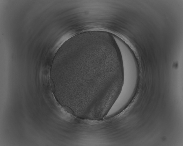 X0000091101289200708271309