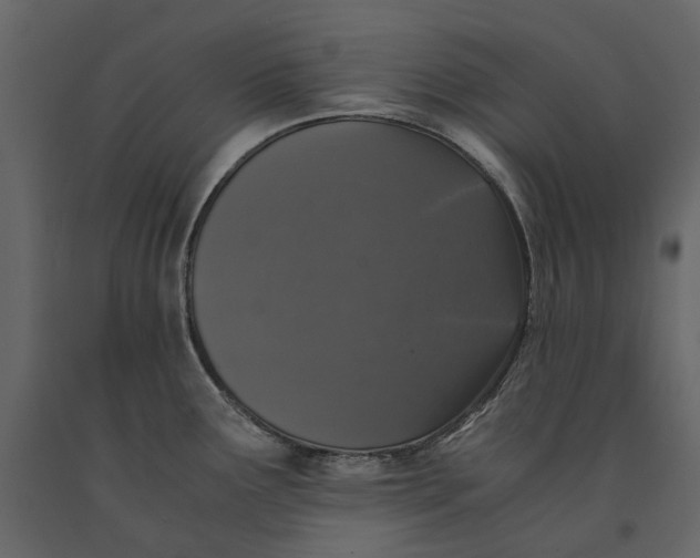 X0000091101291200708271309