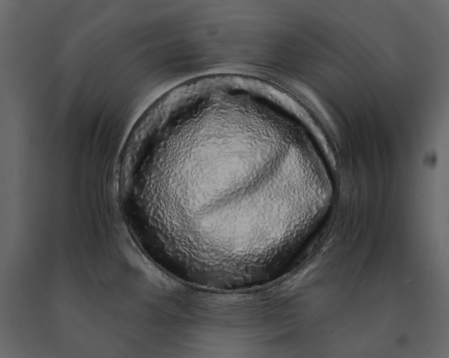 X0000091101292200708271309