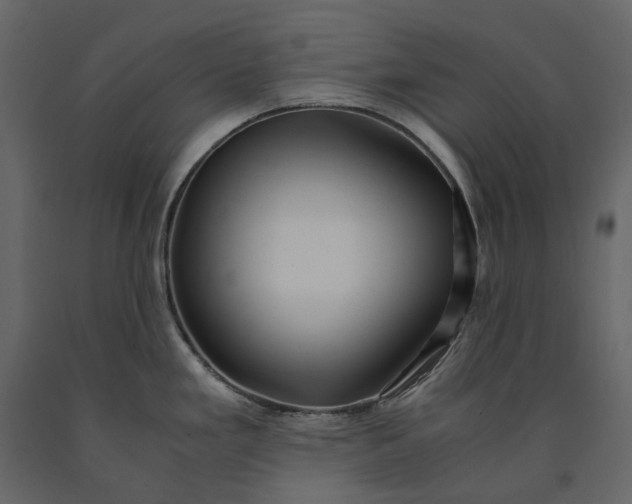 X0000091101293200708271309