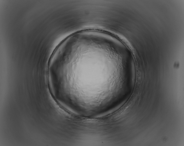 X0000091101295200708271309