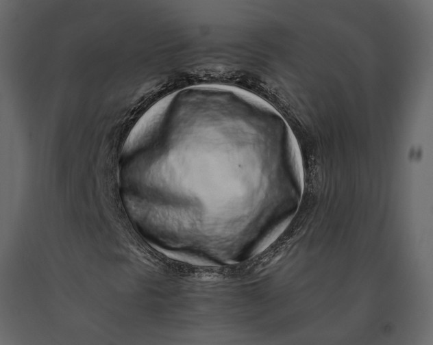 X0000091101297200708271308