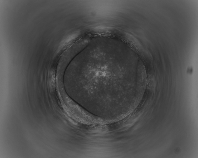 X0000091101298200708271308