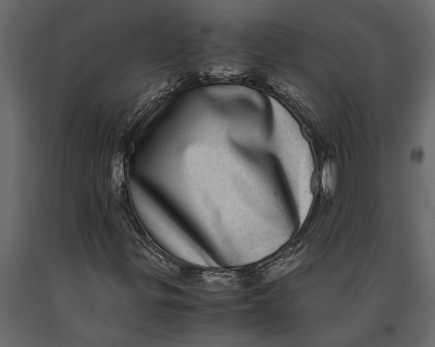 X0000091101299200708271308