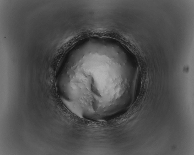 X0000091101301200708271308