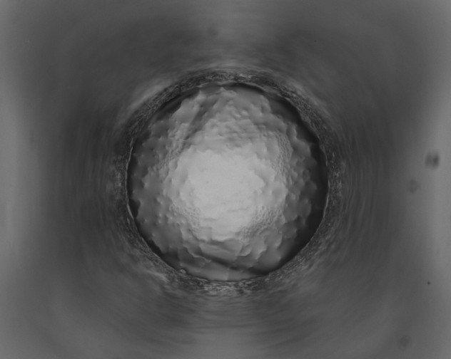 X0000091101302200708271308