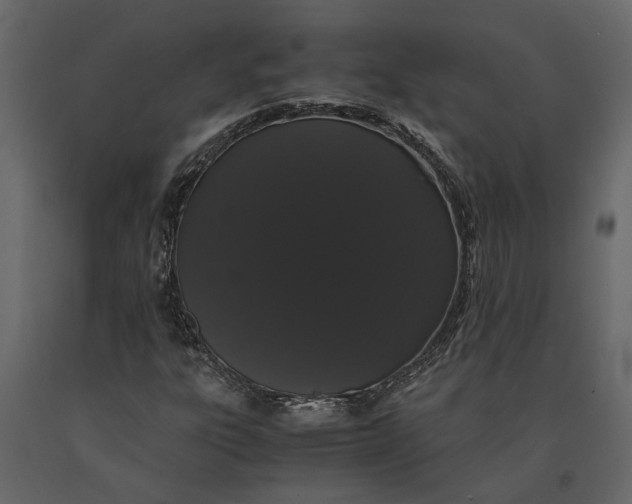 X0000091101303200708271308