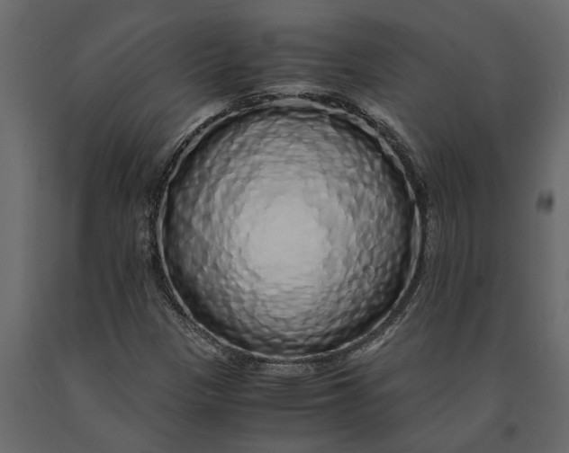 X0000091101305200708271308