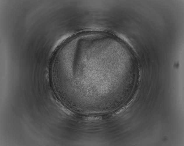 X0000091101307200708271308