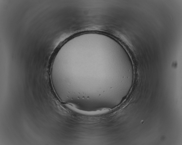 X0000091101308200708271308