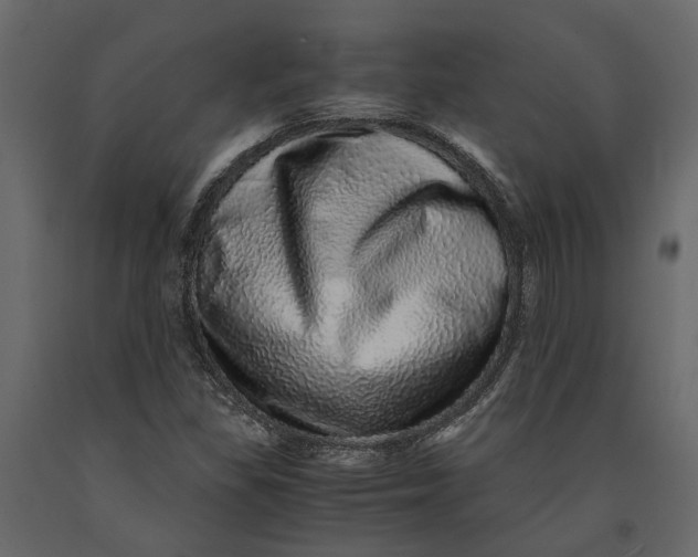 X0000091101309200708271308