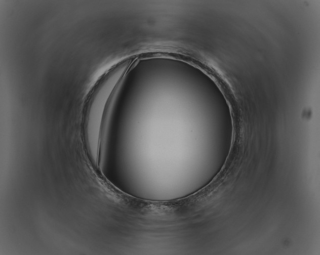 X0000091101312200708271308