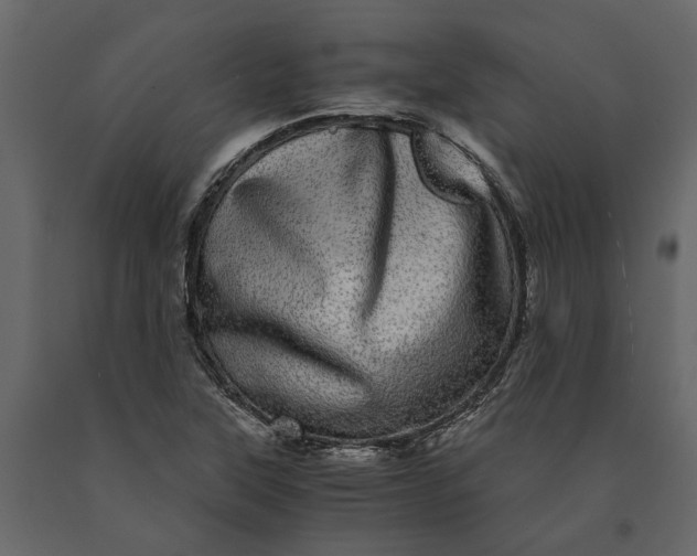 X0000091101315200708271308