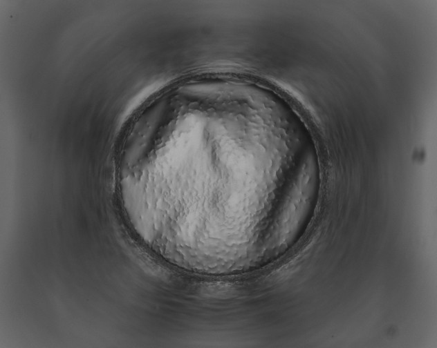 X0000091101317200708271308