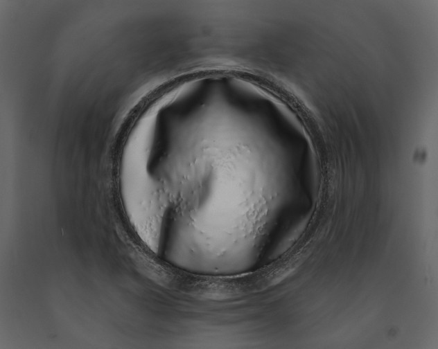 X0000091101318200708271308