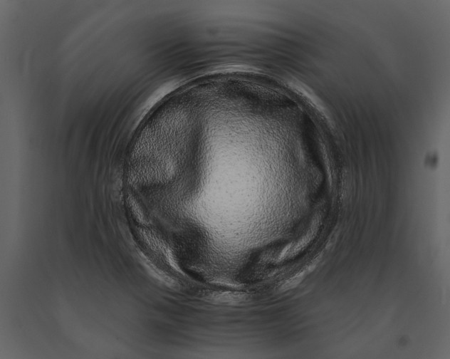 X0000091101321200708271308