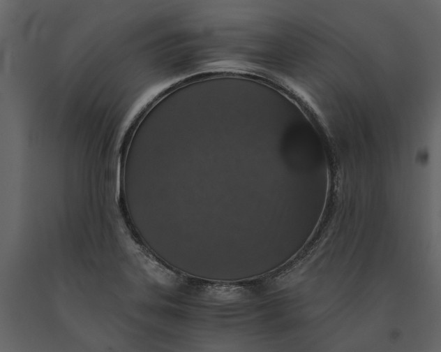 X0000091101323200708271308