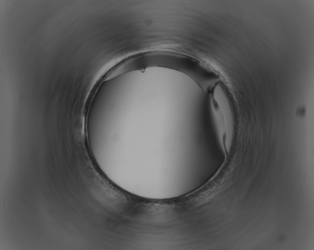 X0000091101324200708271308