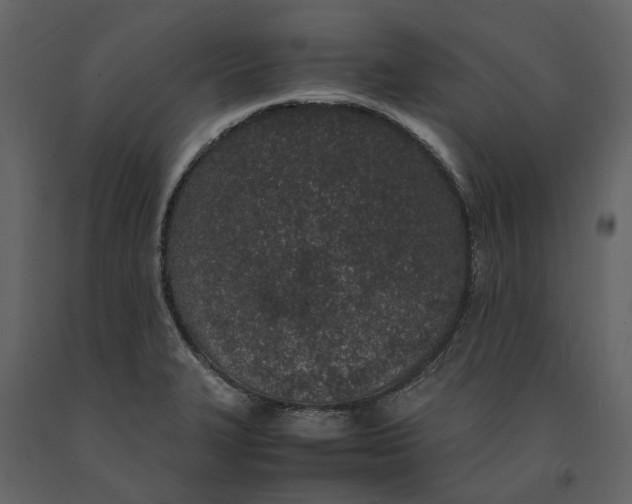 X0000091101327200708271309