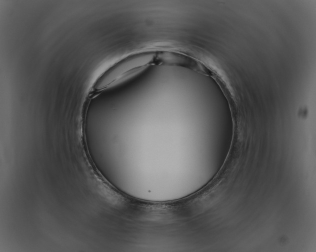 X0000091101328200708271309