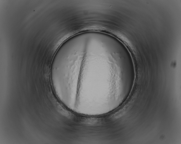 X0000091101329200708271309