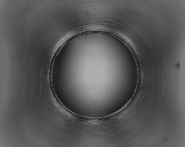 X0000091101330200708271309