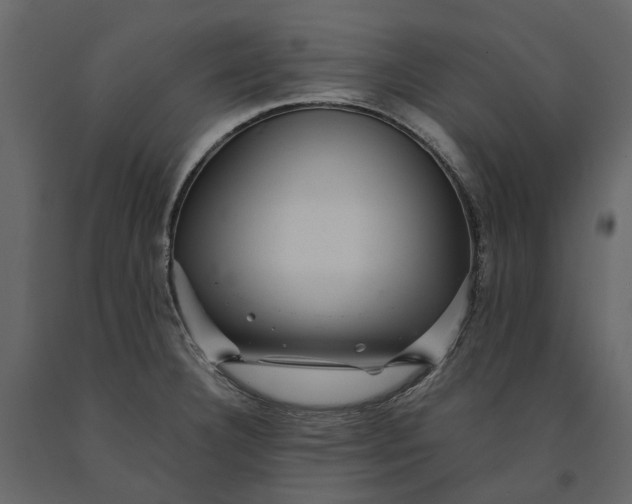 X0000091101332200708271309