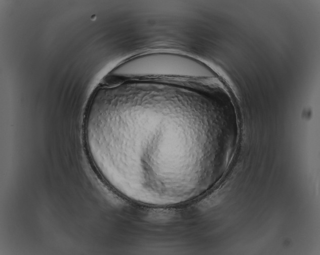 X0000091101333200708271309