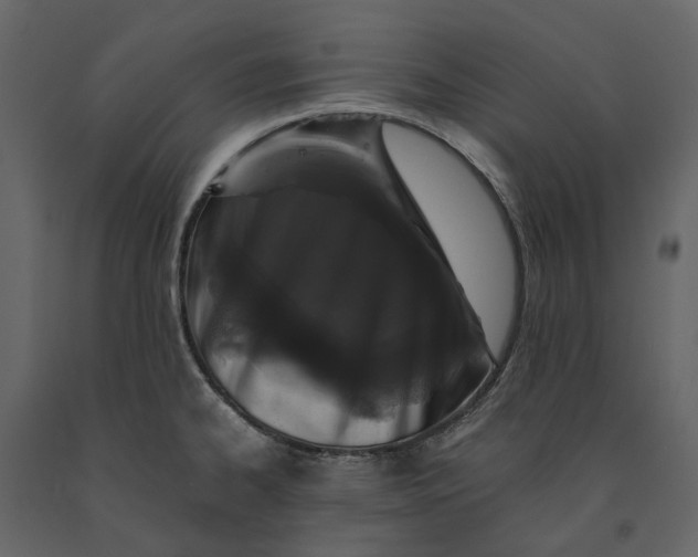 X0000091101334200708271309