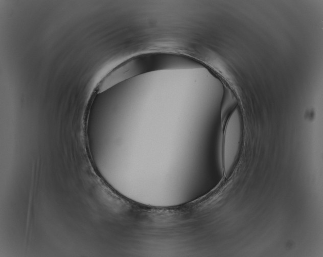 X0000091101336200708271309