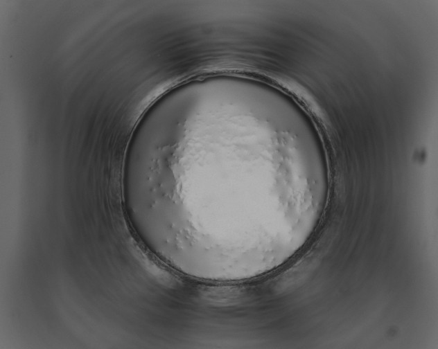 X0000091101337200708271309