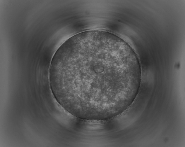 X0000091101338200708271309