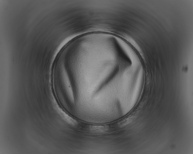 X0000091101339200708271309