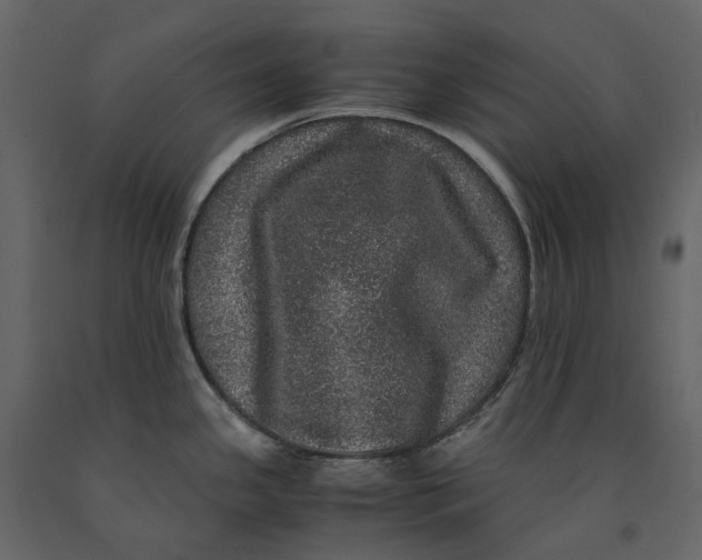 X0000091101341200708271309