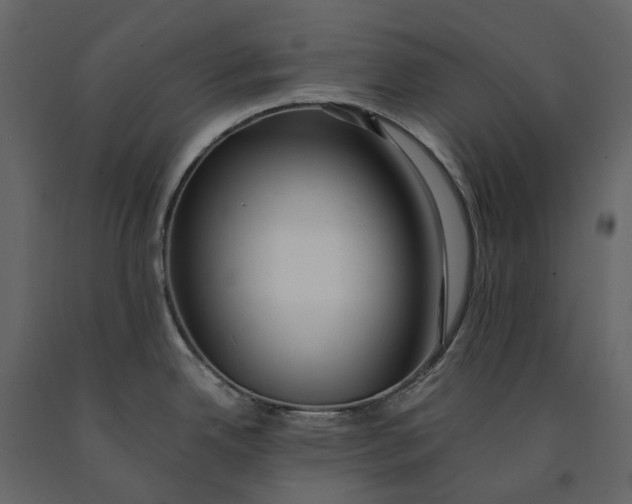 X0000091101342200708271309