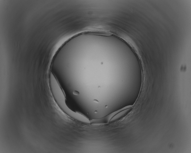 X0000091101344200708271309