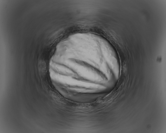 X0000091101347200708271308