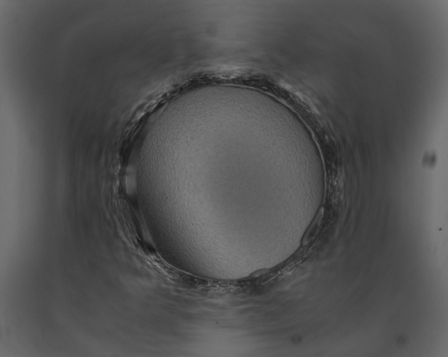 X0000091101349200708271308