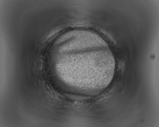 X0000091101350200708271308