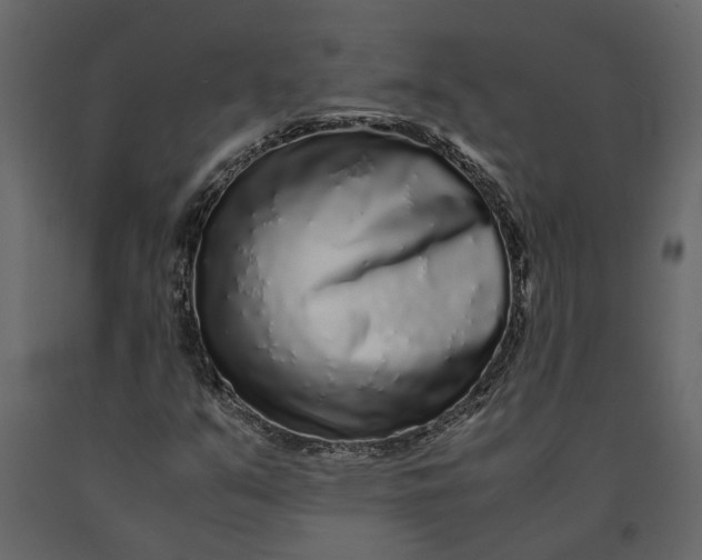 X0000091101351200708271308