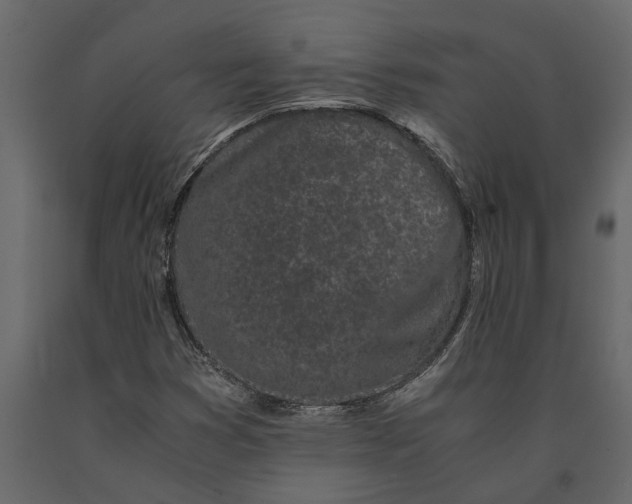 X0000091101353200708271308