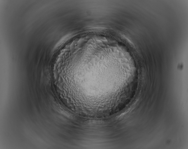 X0000091101354200708271308