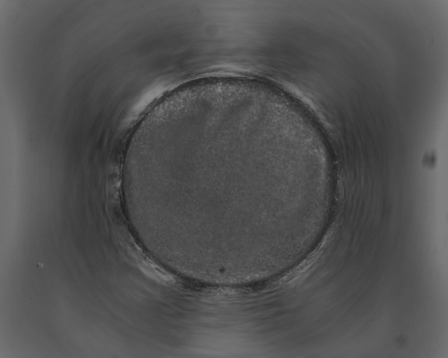 X0000091101355200708271308