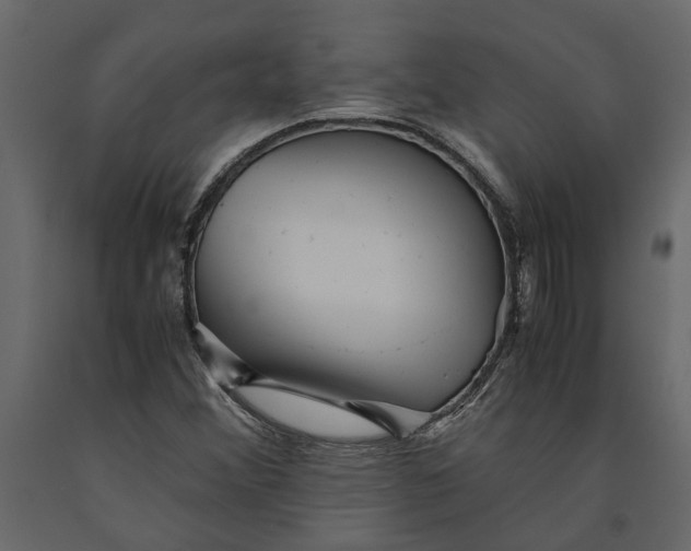 X0000091101356200708271308