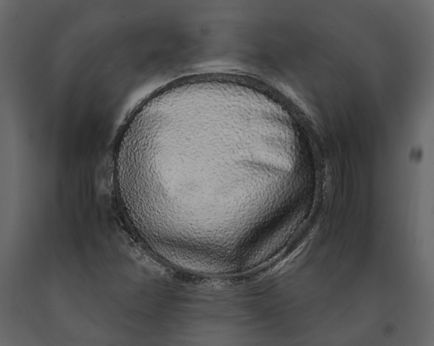 X0000091101358200708271308