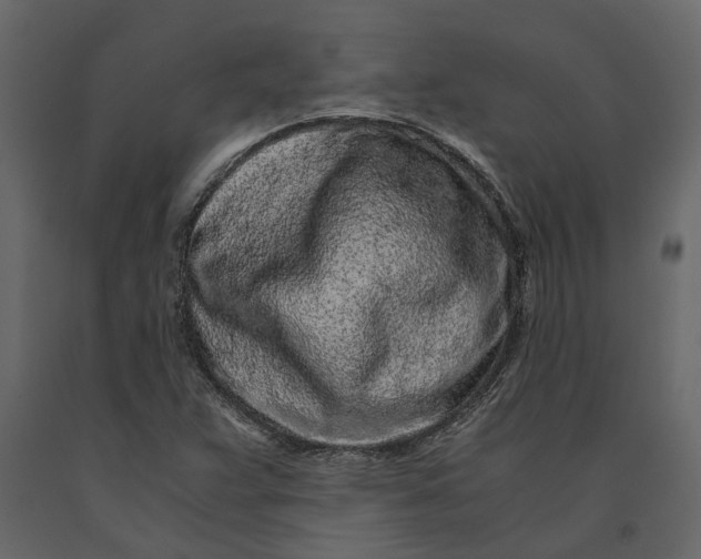 X0000091101359200708271308